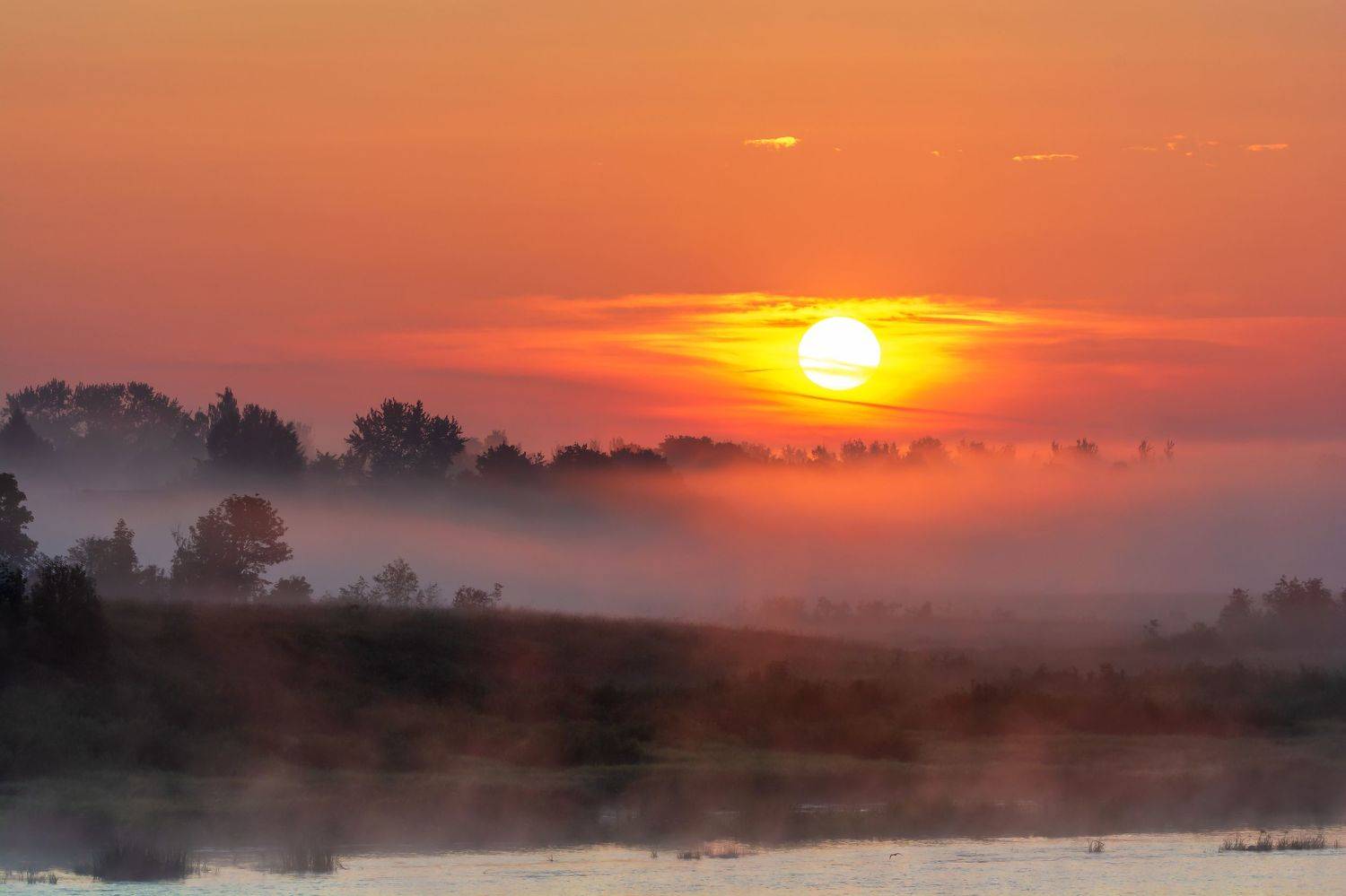 , Виктор Желенговский