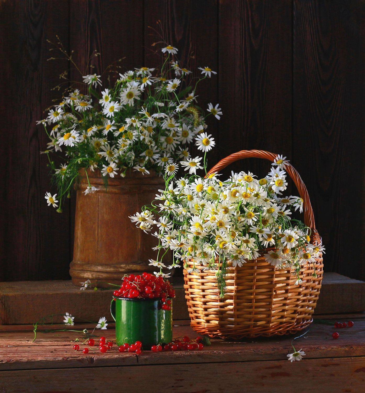 натюрморт, фотонатюрморт, лето, цветы, ромашки, ягода, красная смородина,  наталья казанцева, Наталья Казанцева