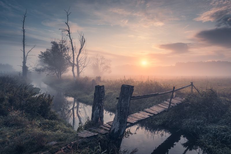 Misty land фото превью