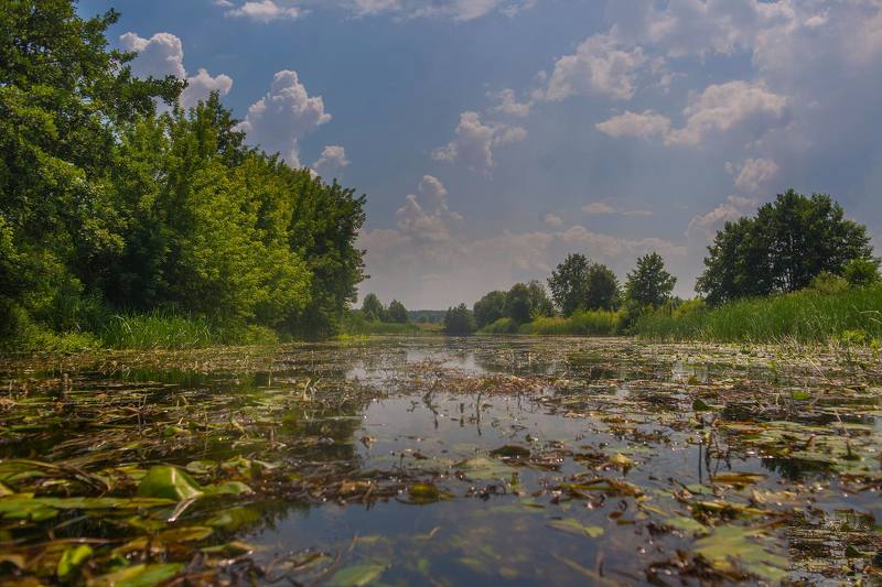 осень, река, берег,пейзаж ,лодка Пейзаж как состояние души ... фото превью