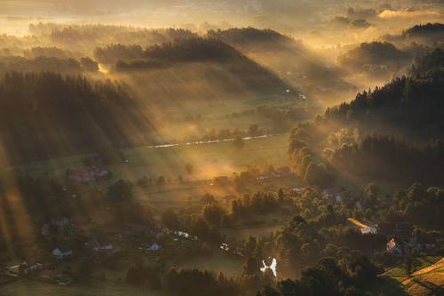 Spring Light....