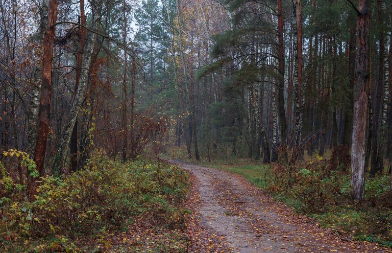 ноябрьская прогулка... фото превью