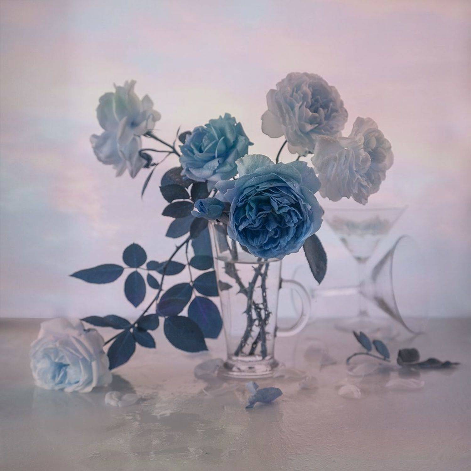 , Татьяна Назмутдинова