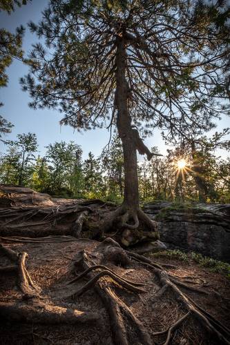 Сложности коммуникаций