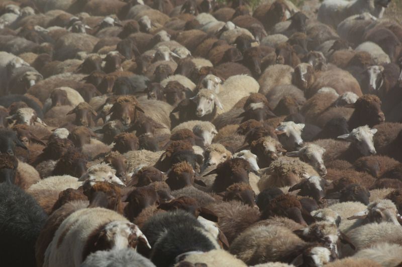 армения, armenia, гегамские горы Безкрайность фото превью