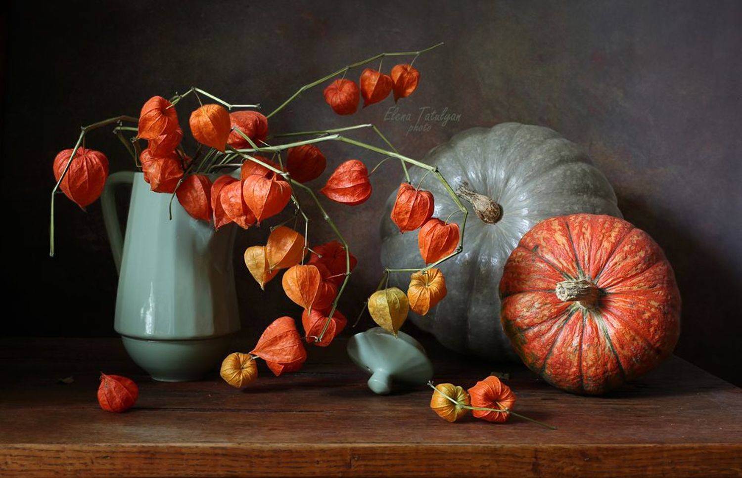 физалис, тыквы, Елена Татульян