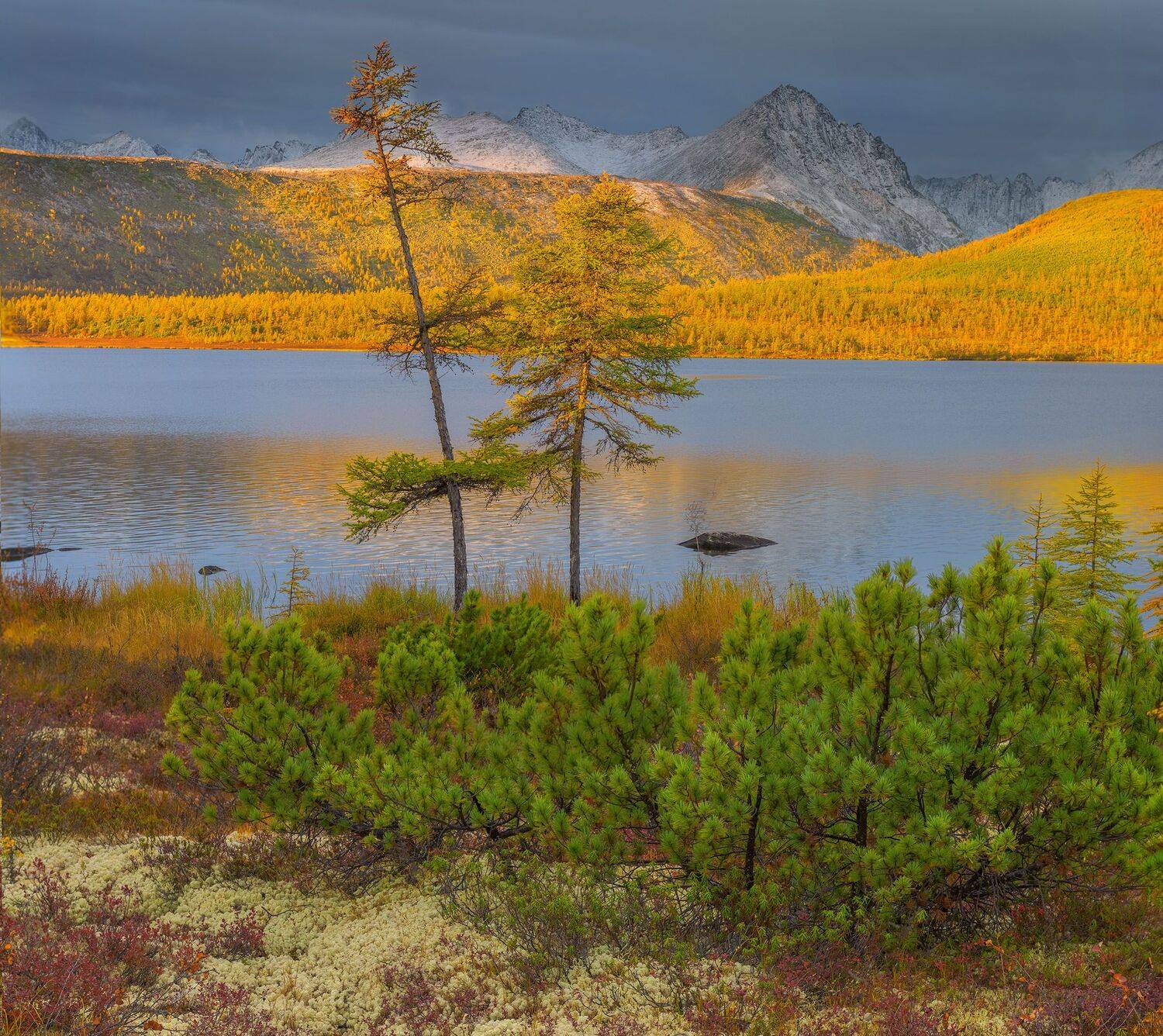 Фототуры с Владимиром Рябковым, озеро Джека Лондона, #озероджекалондона #колыма #loves_russia2 #nikonrussia #landscape_russia #ru_landscape #русскийсевер #landscapephotography #photoarena_nature #Russiannature #большаястрана#russpasibo #topnature #lovelyR, Владимир Рябков
