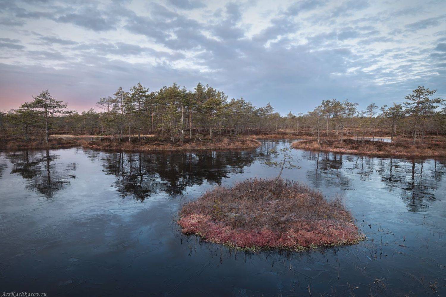 болото, болотные топи, ленобласть, ленинградская область, карельский перешеек, острова, сосны, отражение, ноябрь, Арсений Кашкаров