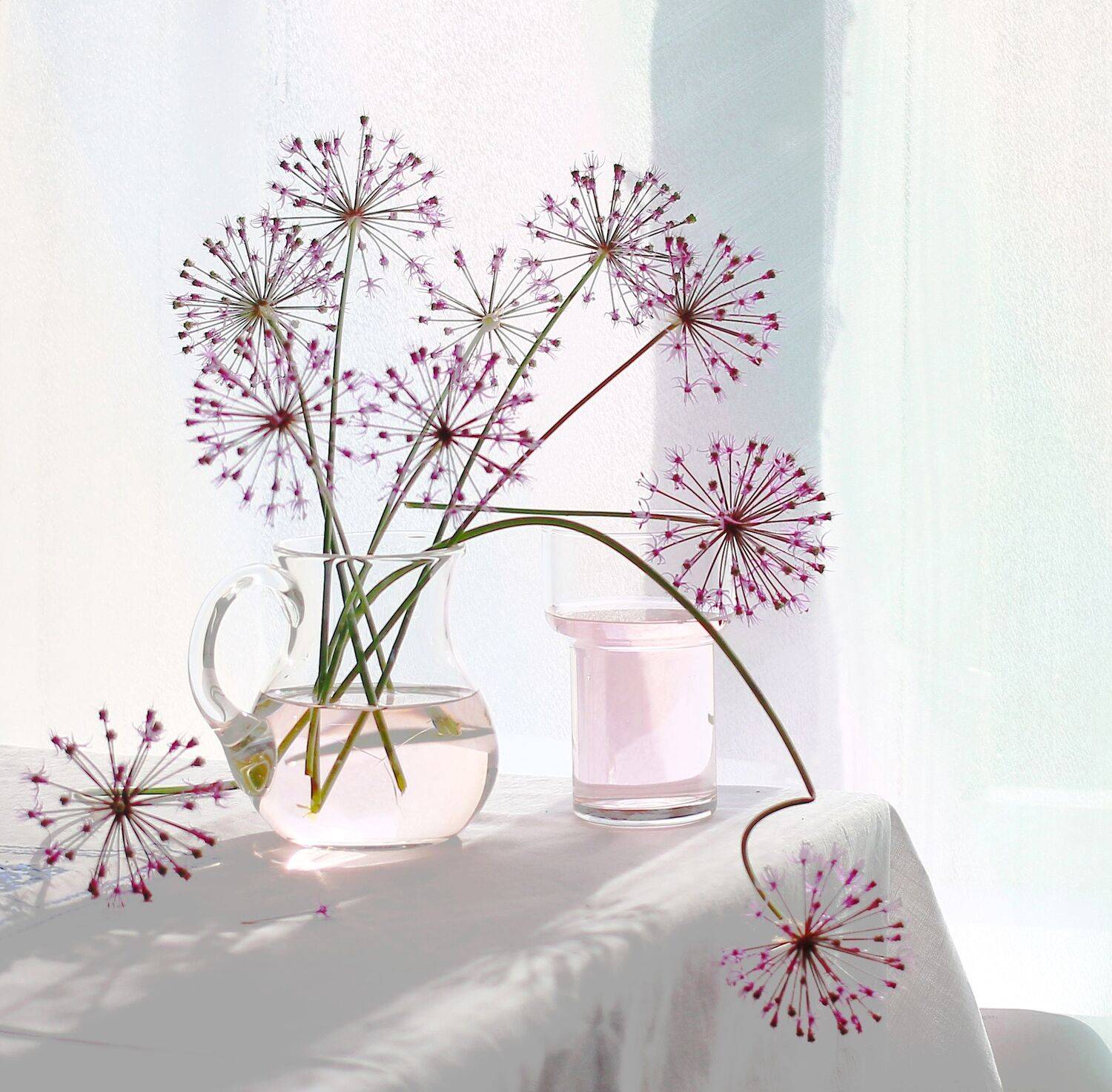 натюрморт, фотонатюрморт, лето, цветы, лук декоративный,  наталья казанцева, Наталья Казанцева