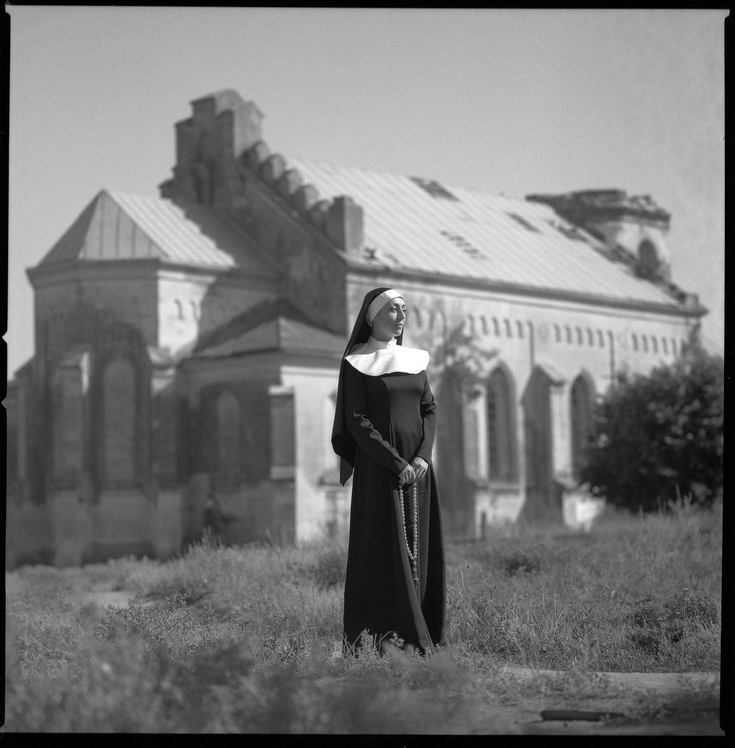 , Франгони Владимир