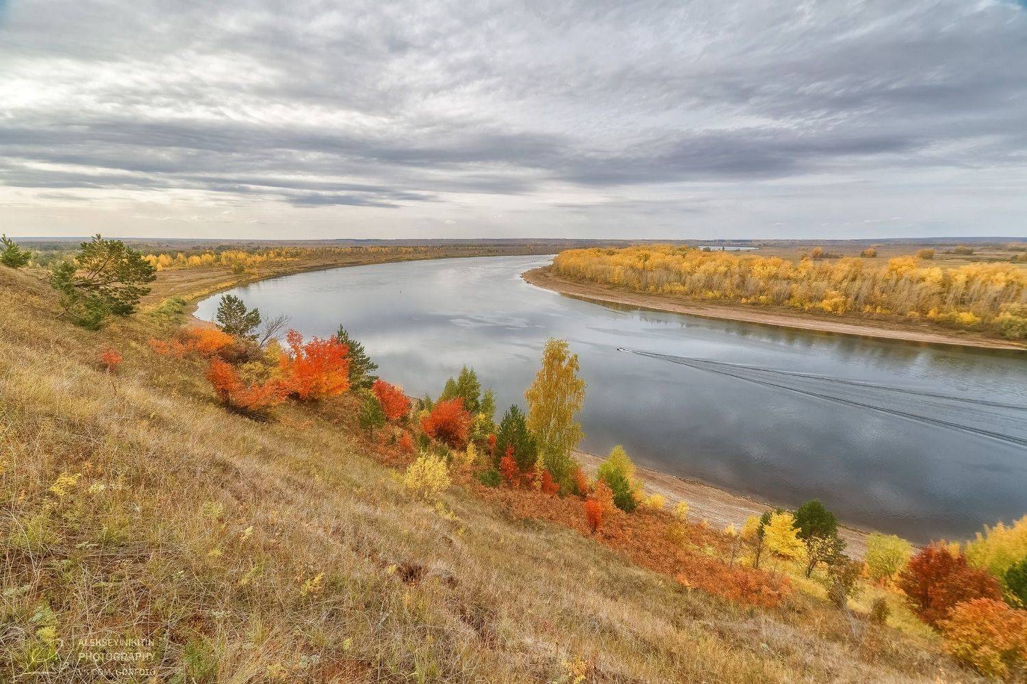 , Алексей Никитин