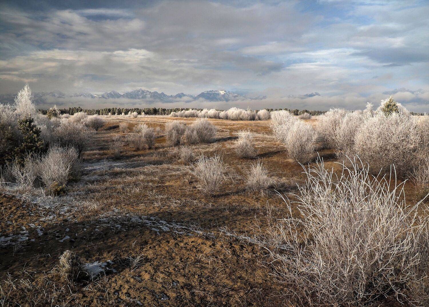 , Александр Попов