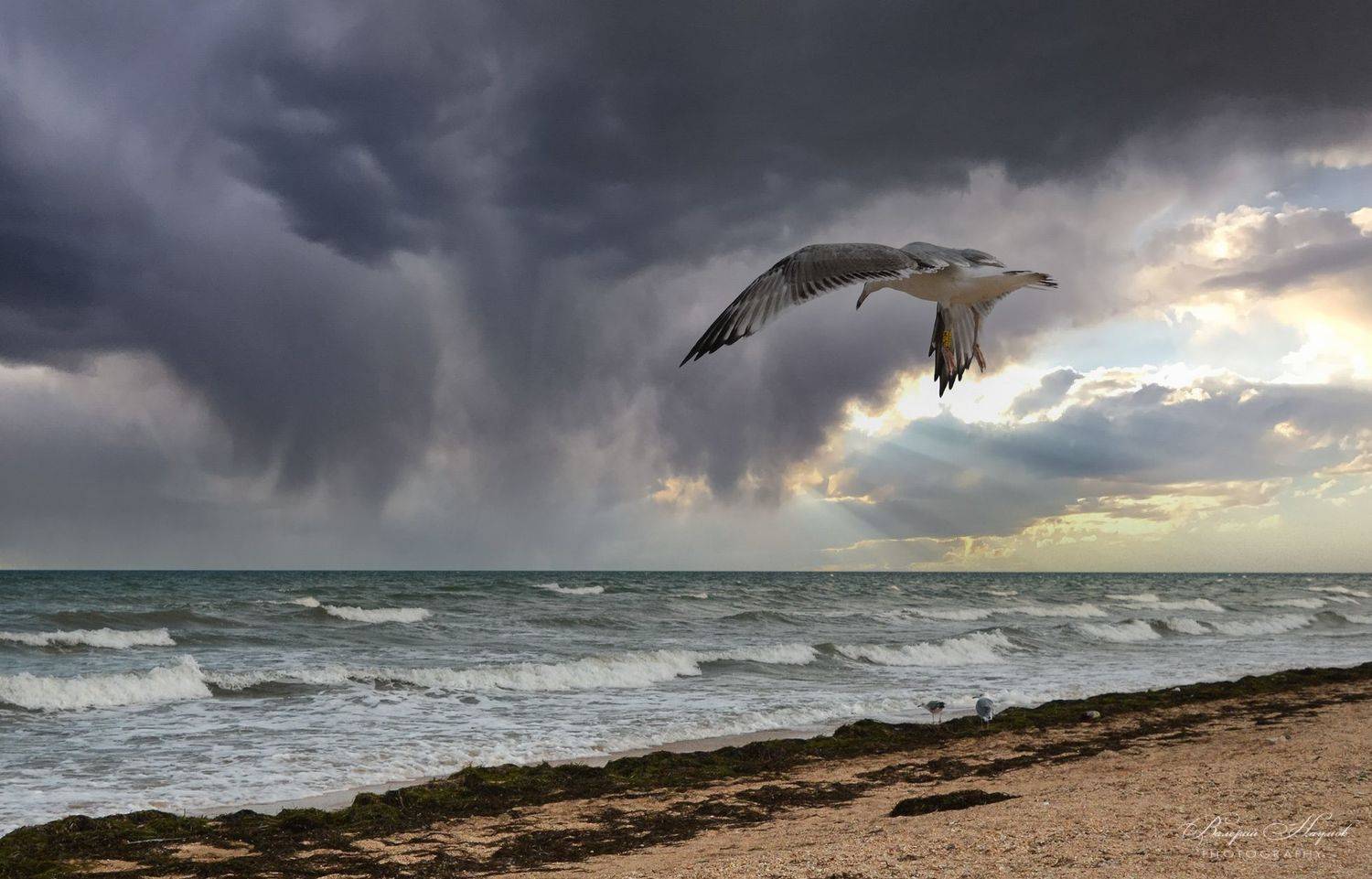 азов, море, ветер, волна, лучи, облака, сентябрь, Валерий Наумов