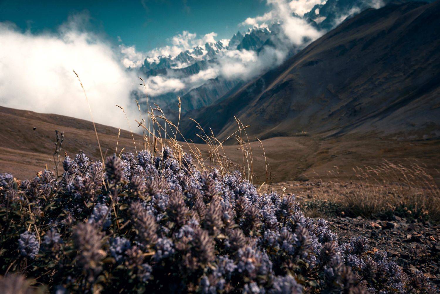 , Сергей Лукашенко