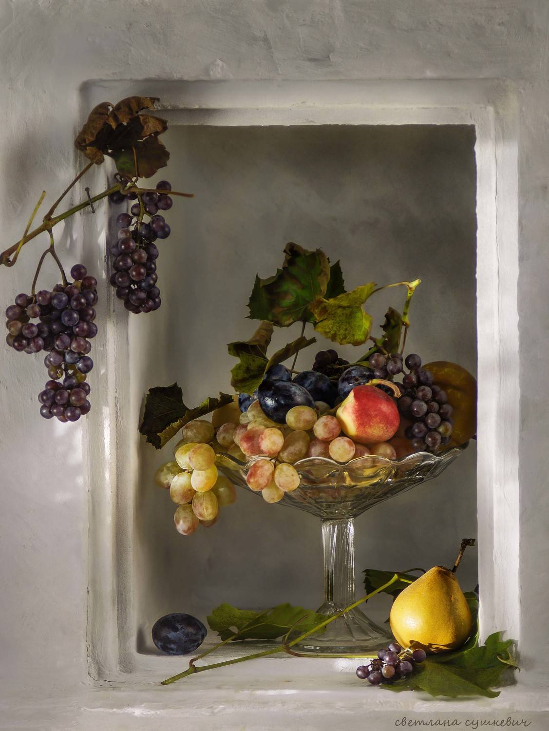 , Светлана Сушкевич