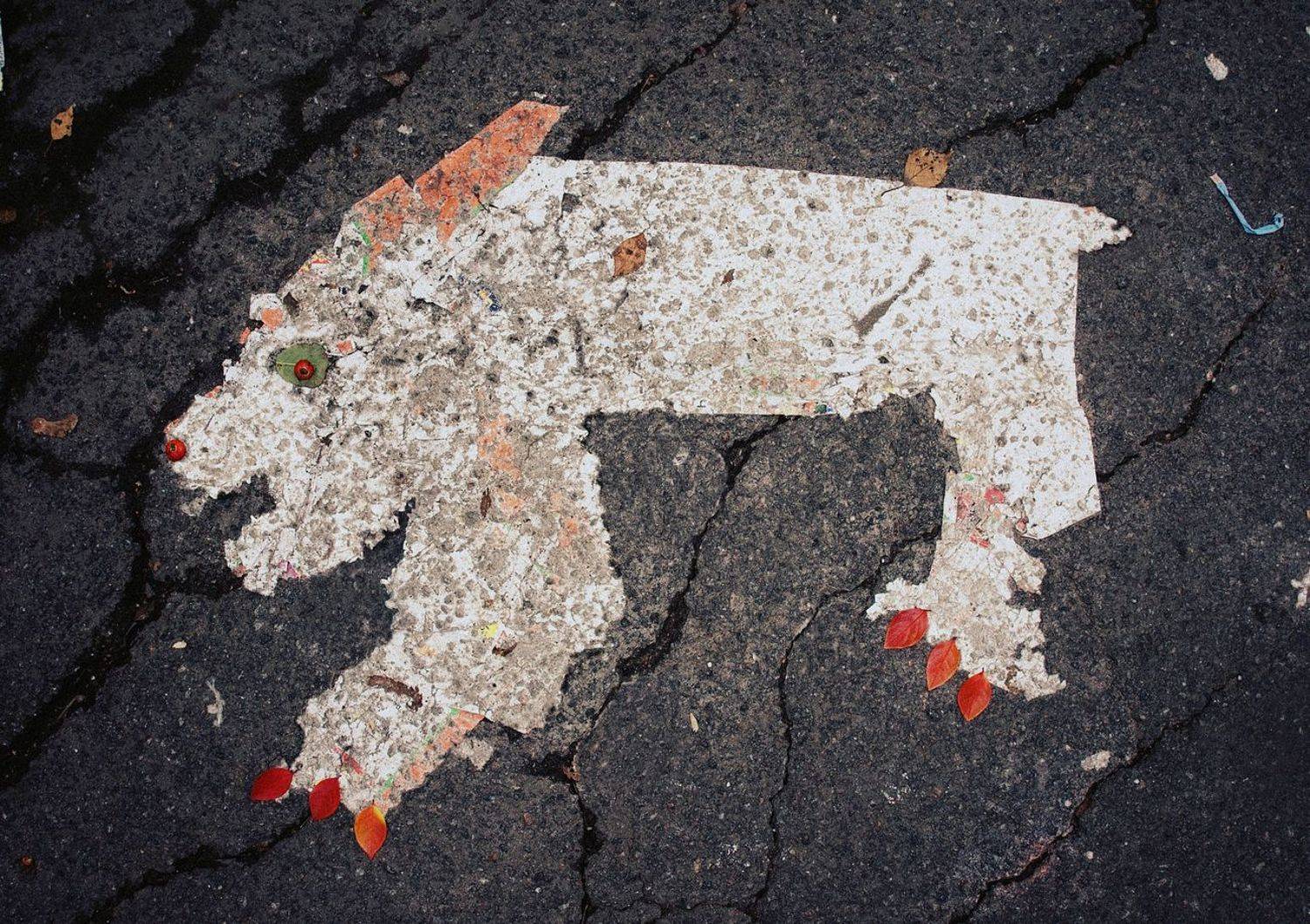 pareidolia, ПОЛУЕВ ИЛЬЯ