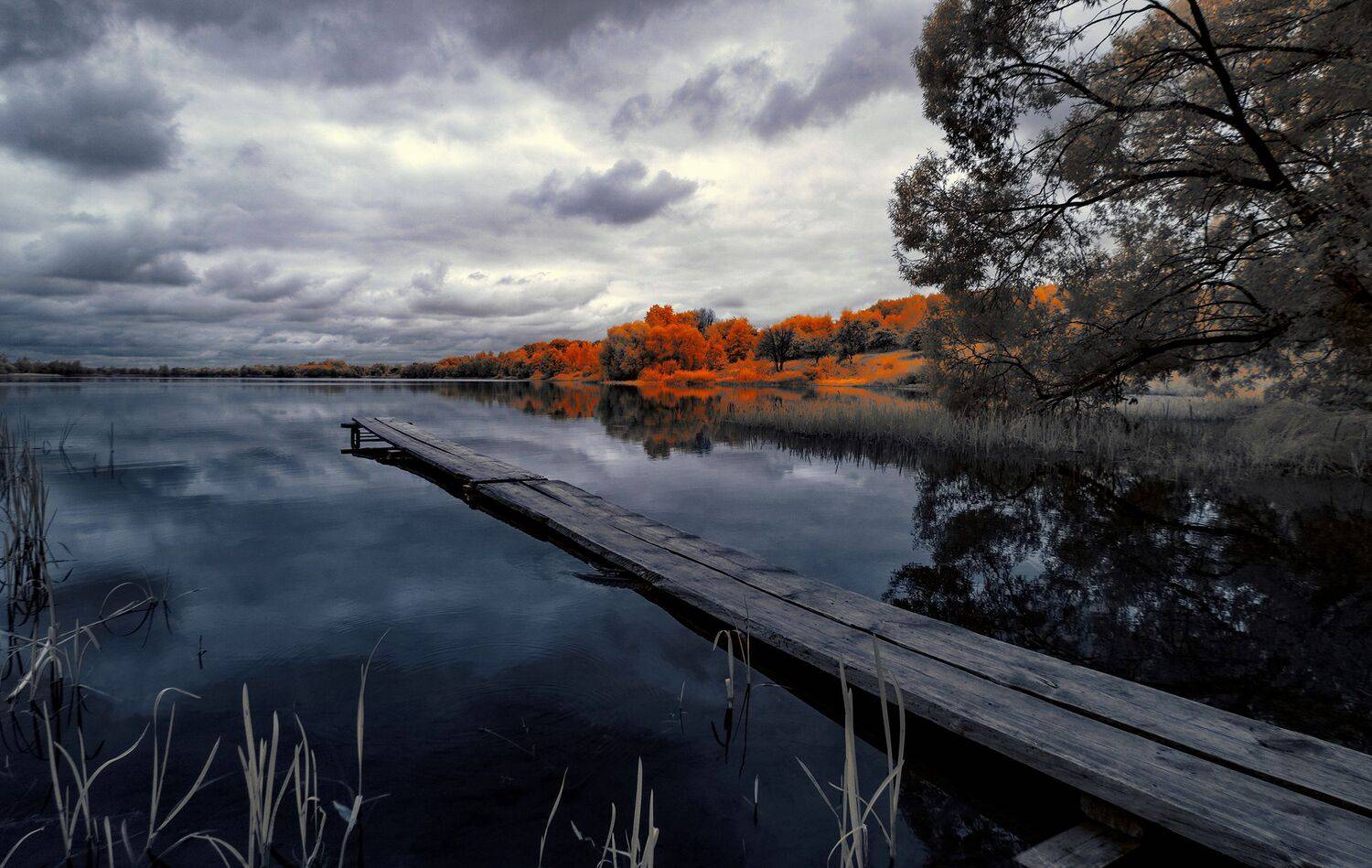 infrared,ик-фото,инфракрасное фото, инфракрасная фотография, пейзаж, осень, Sixten ( Сергей )