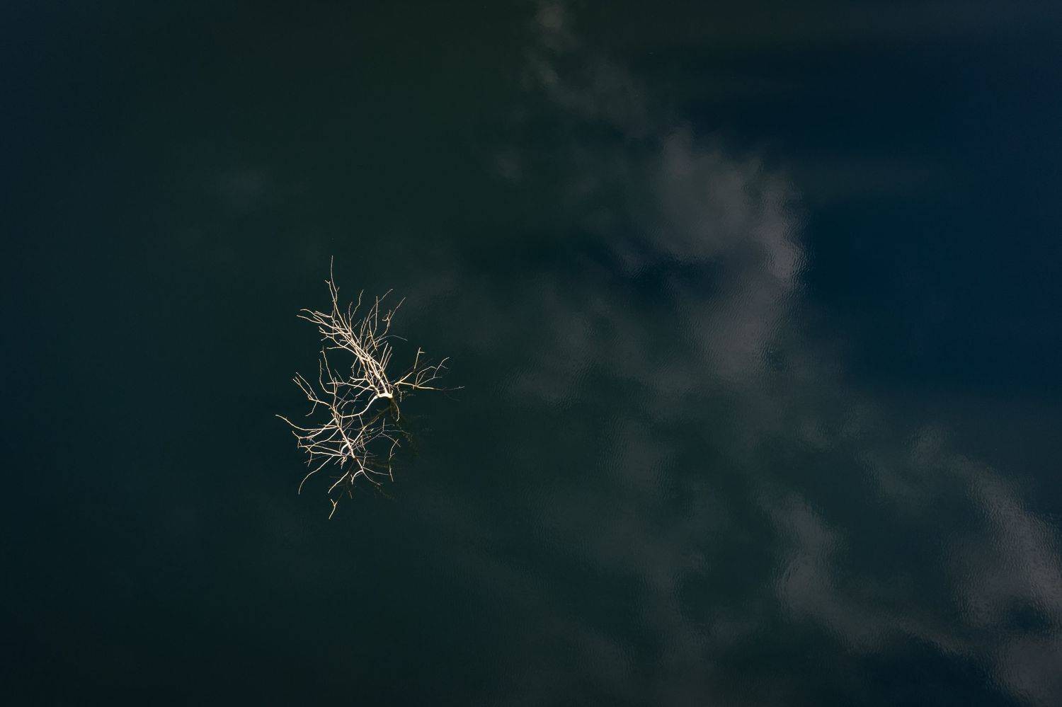 , Можаров Дмитрий