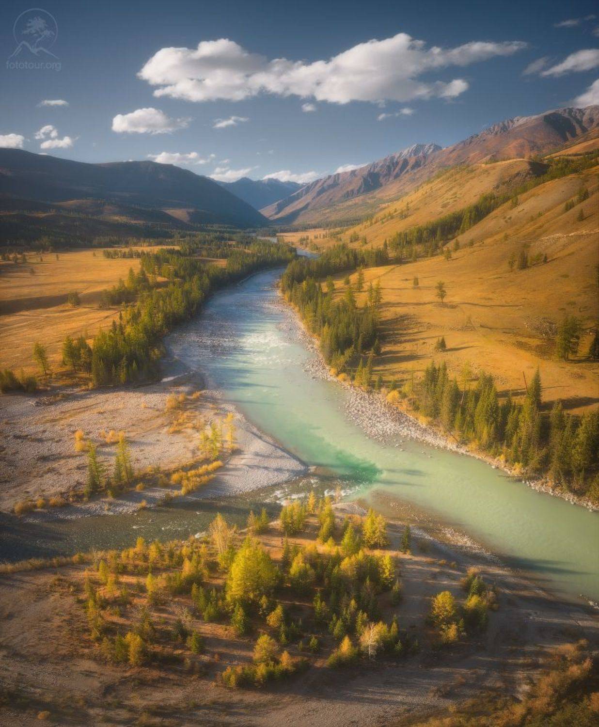 коксу, аргут, алтай, Анатолий Гордиенко