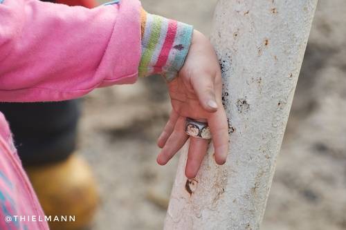 Любопытство