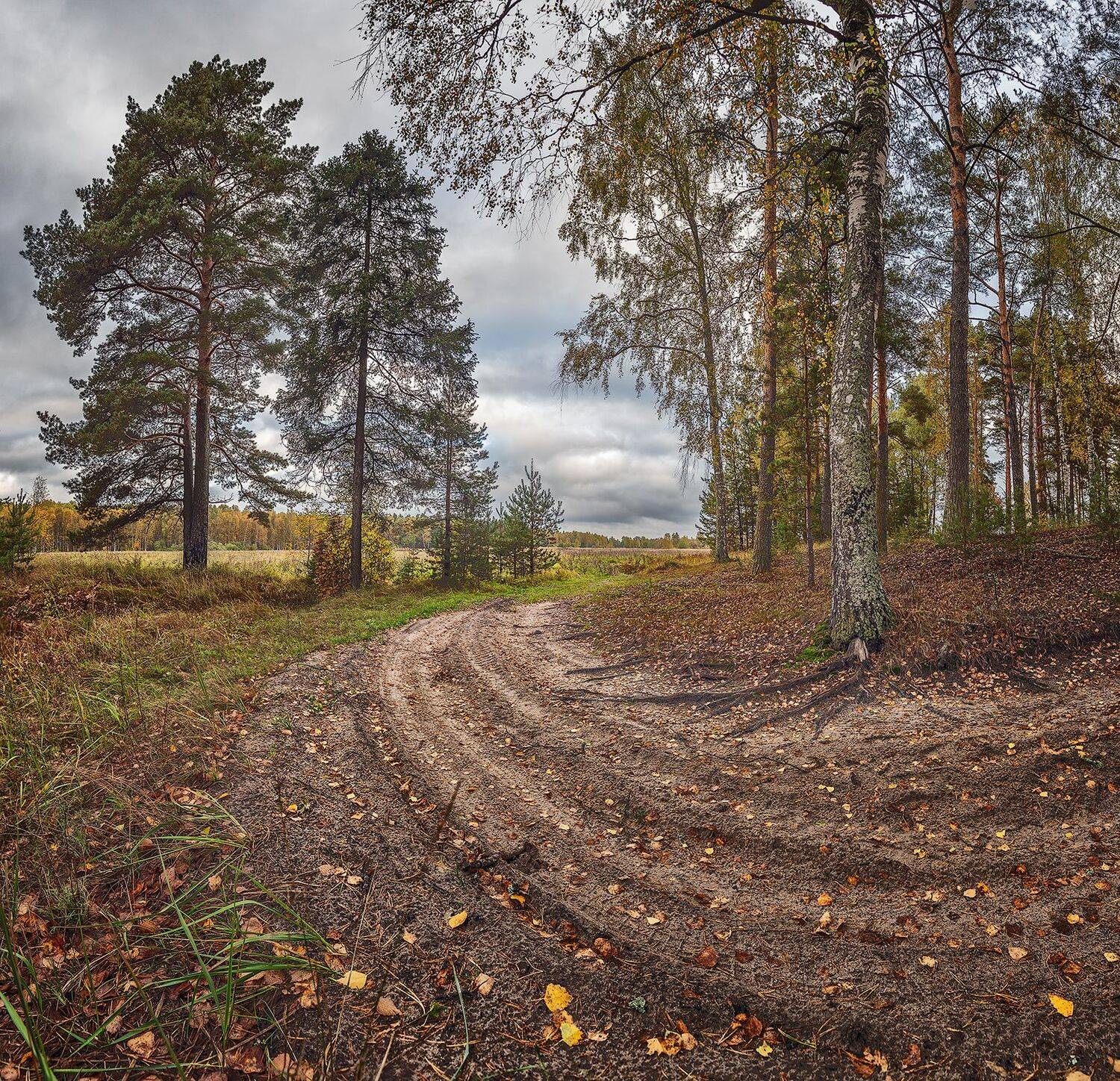 , Николай Андреев