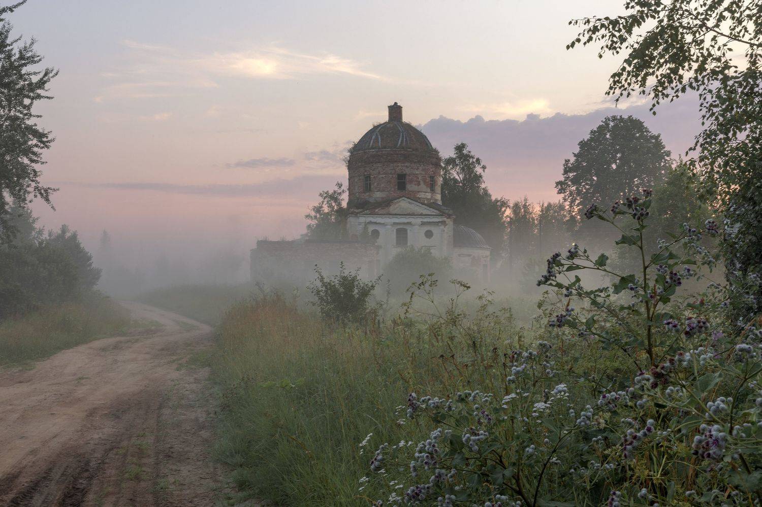 , Елена Гусева