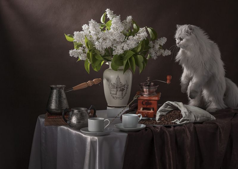 букет, сирень, кошка Букет сирени и любопытная кошка фото превью