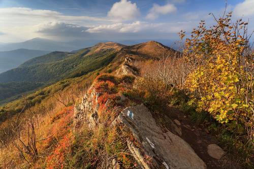 Autumn in the Bieszczady Mountains