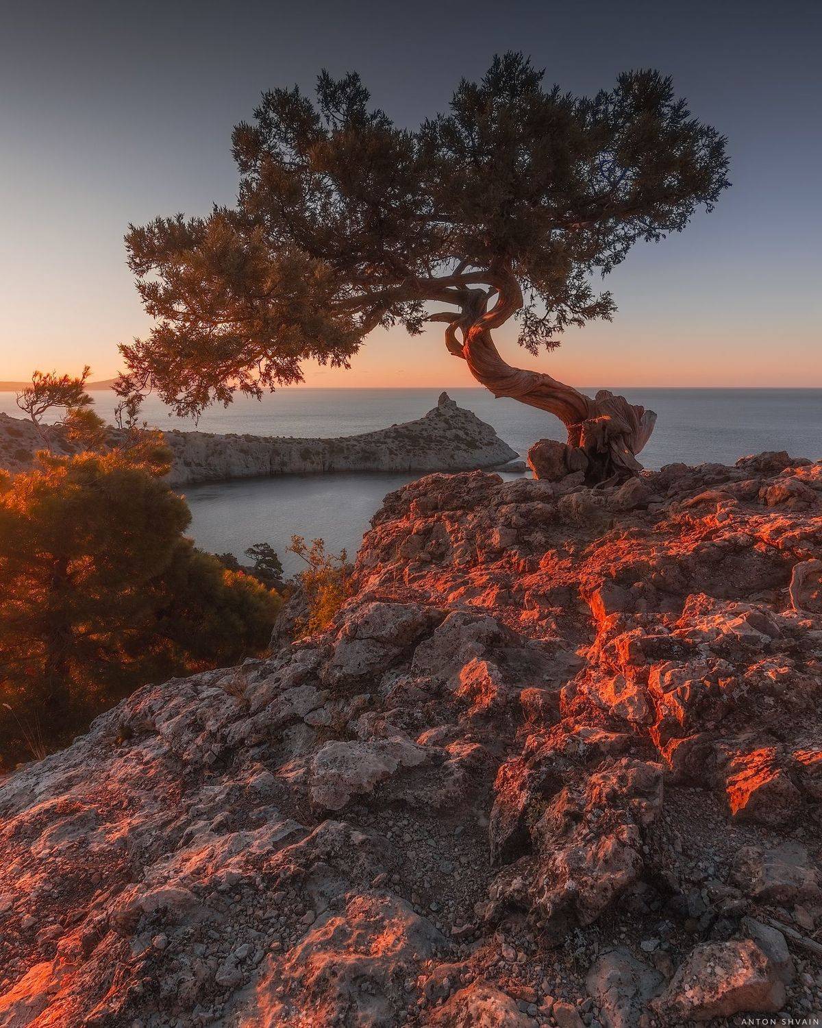 , Антон Шваин