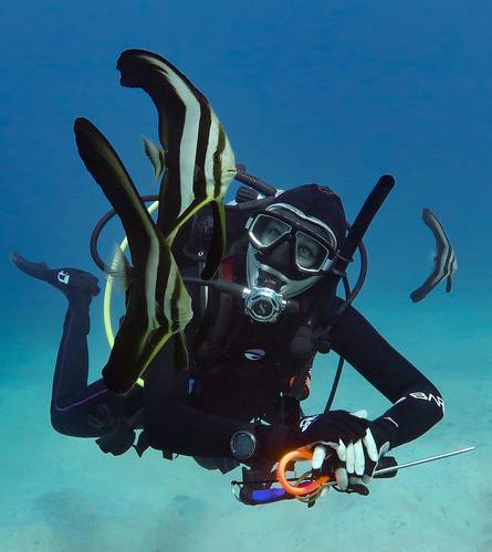 С подводными ангелами