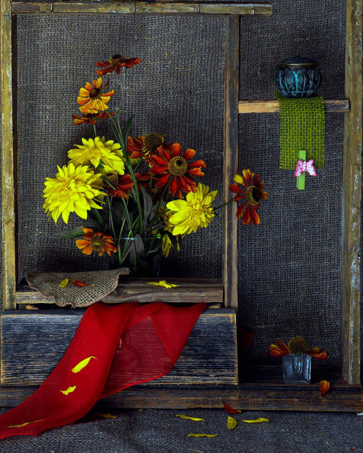 , Ольга Новикова