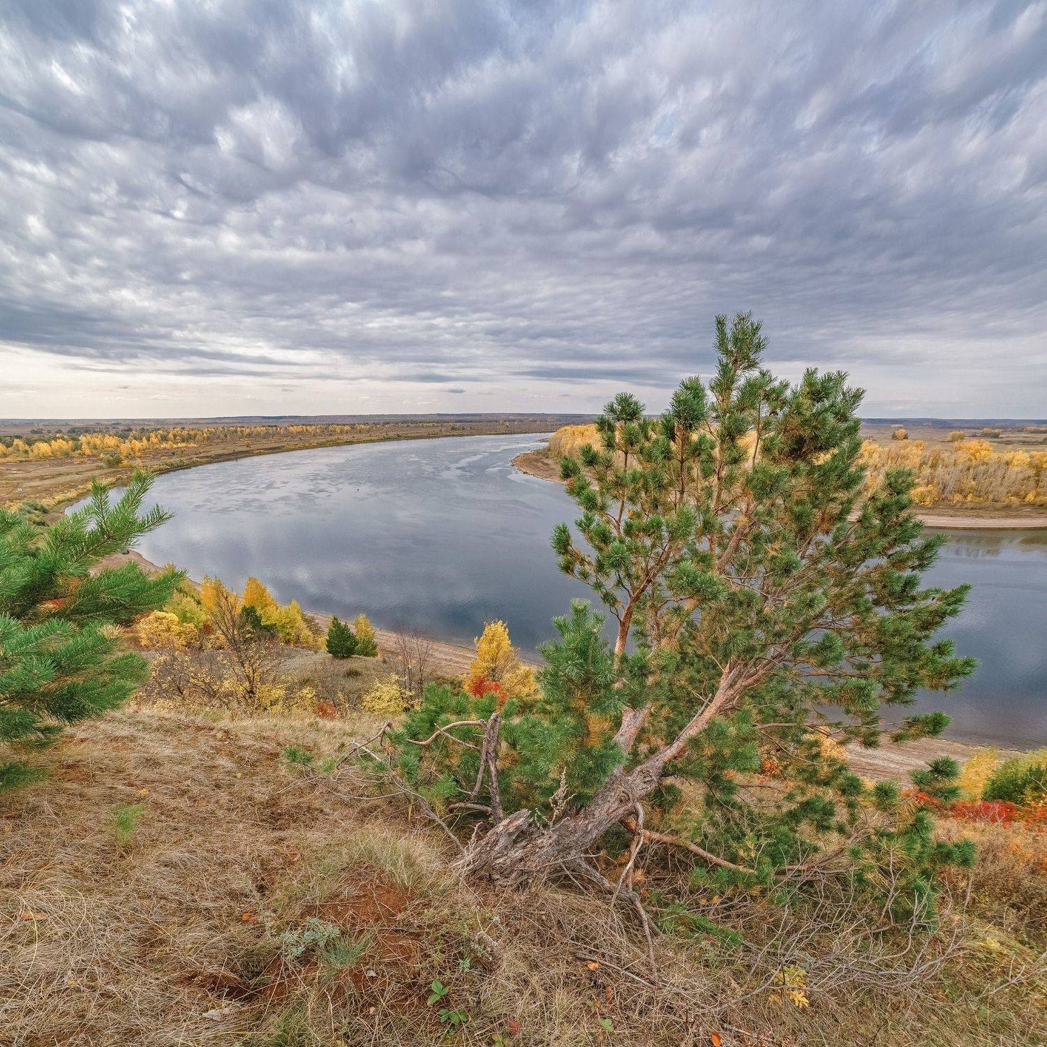 , Алексей Никитин