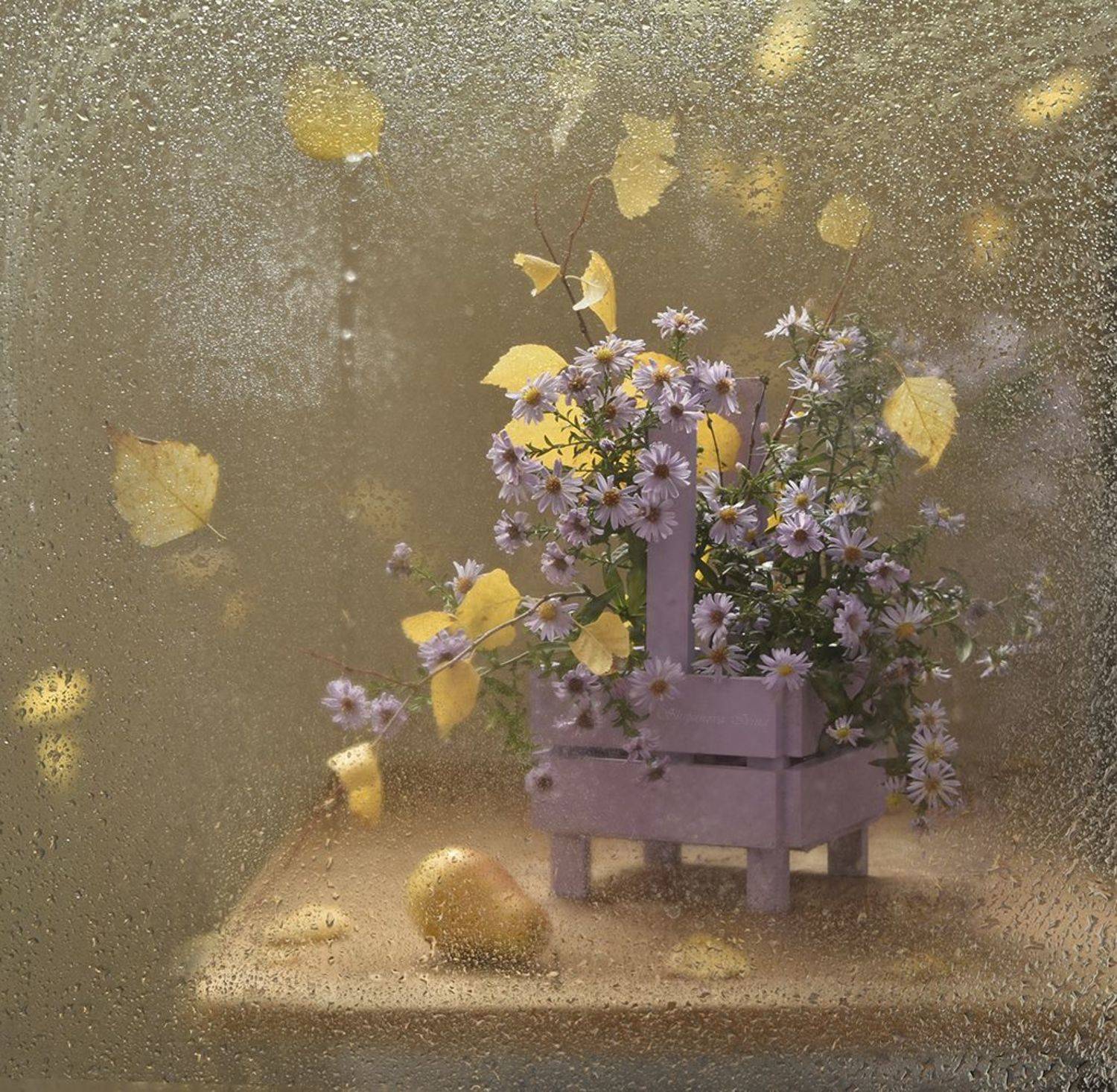 , Шипунова Ирина