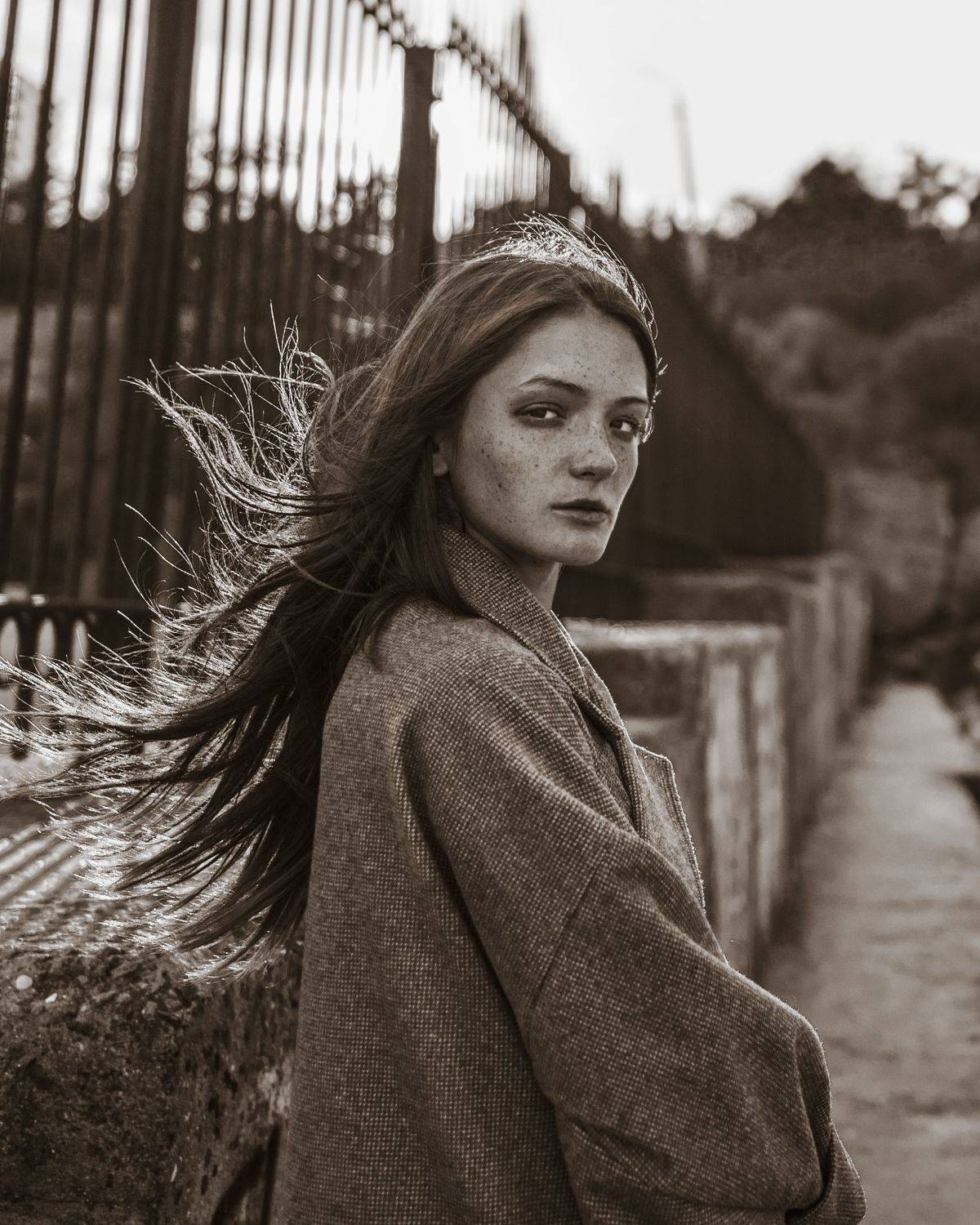 , Георгий Сигал