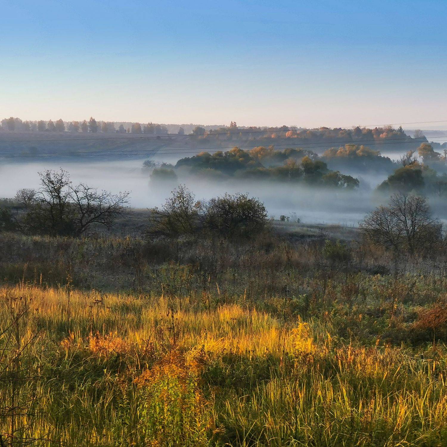 , Владлен Халимов