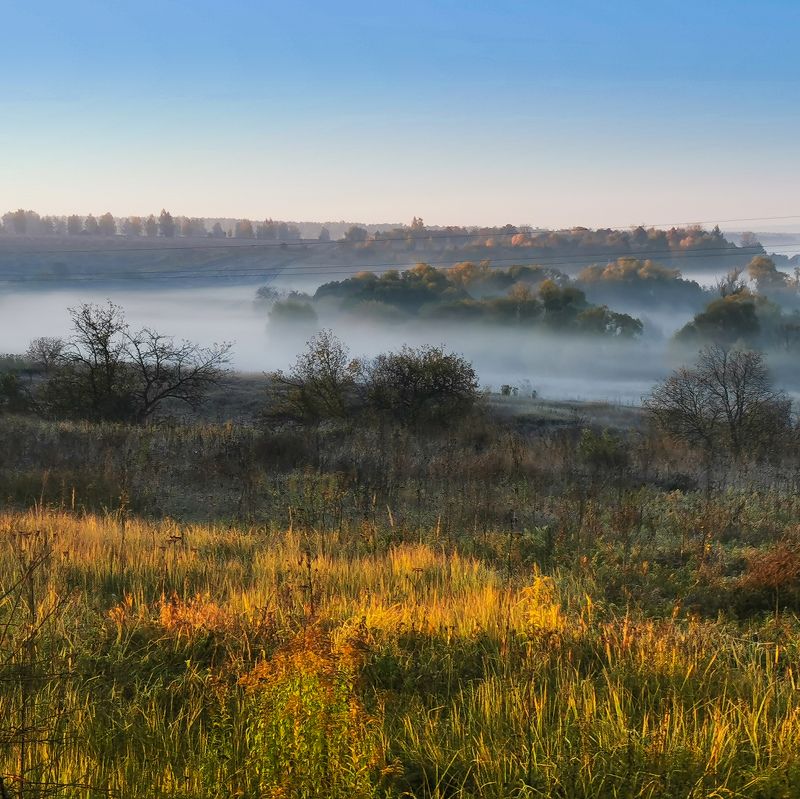 Сражение света, тумана и тени фото превью