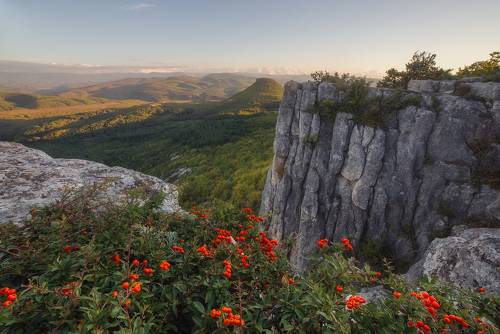 Первые краски осени
