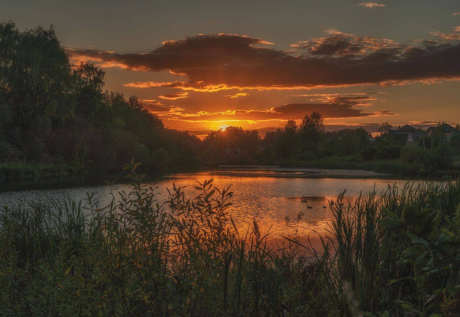 , Константин Дэм