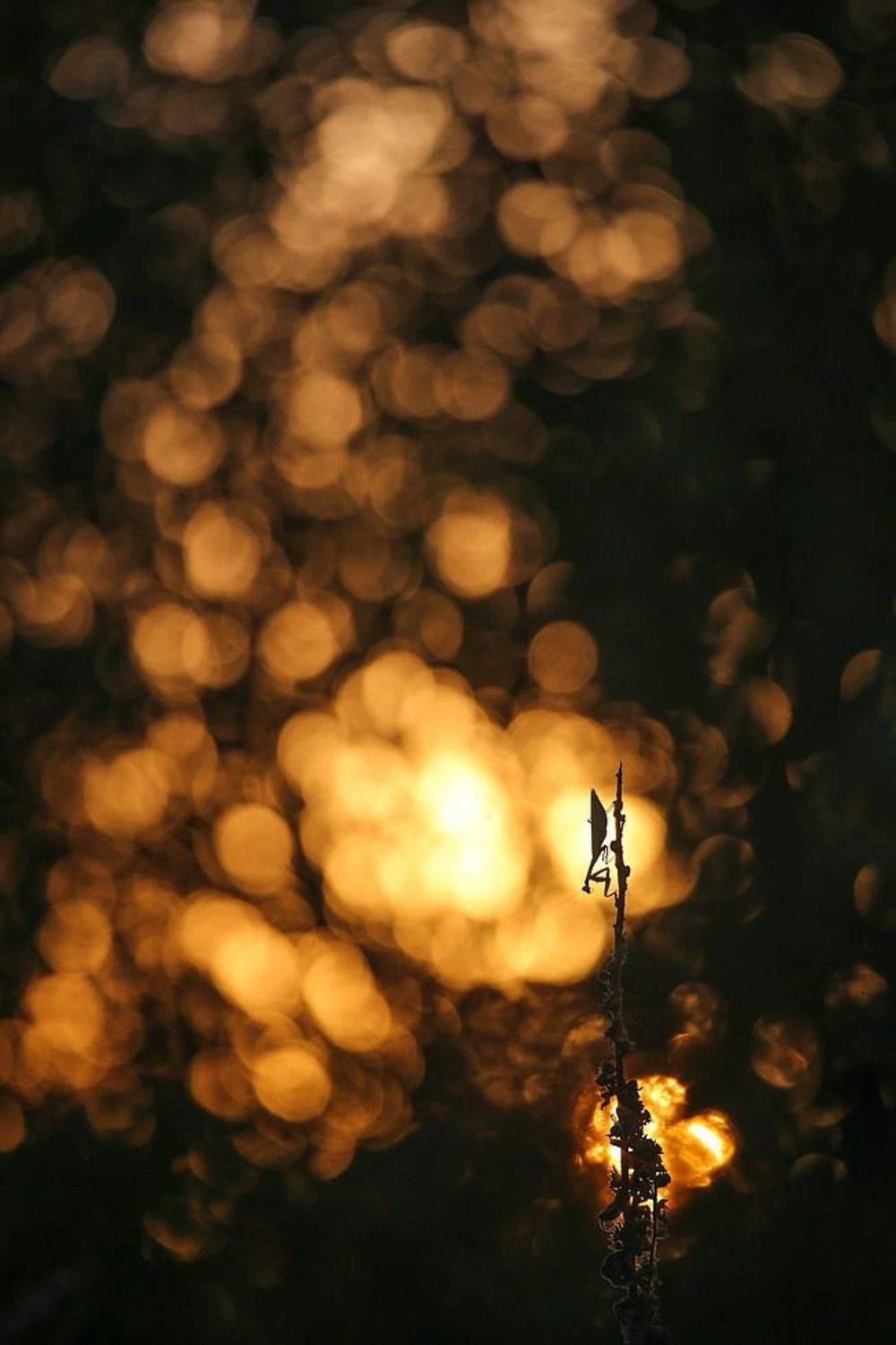 , Вячеслав Мищенко