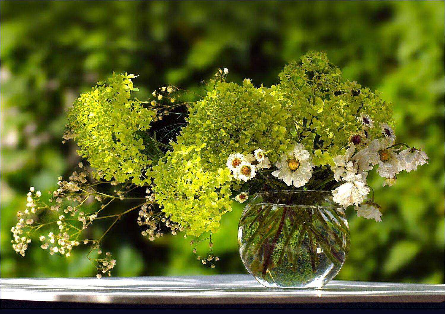 гортензия, букет, Ольга Заболотская