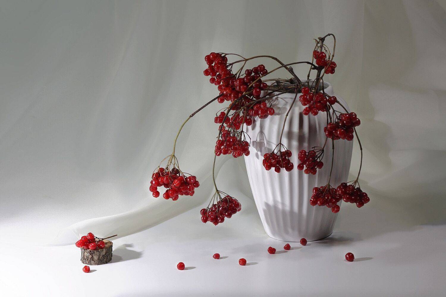 калина, ваза, Ольга Заболотская