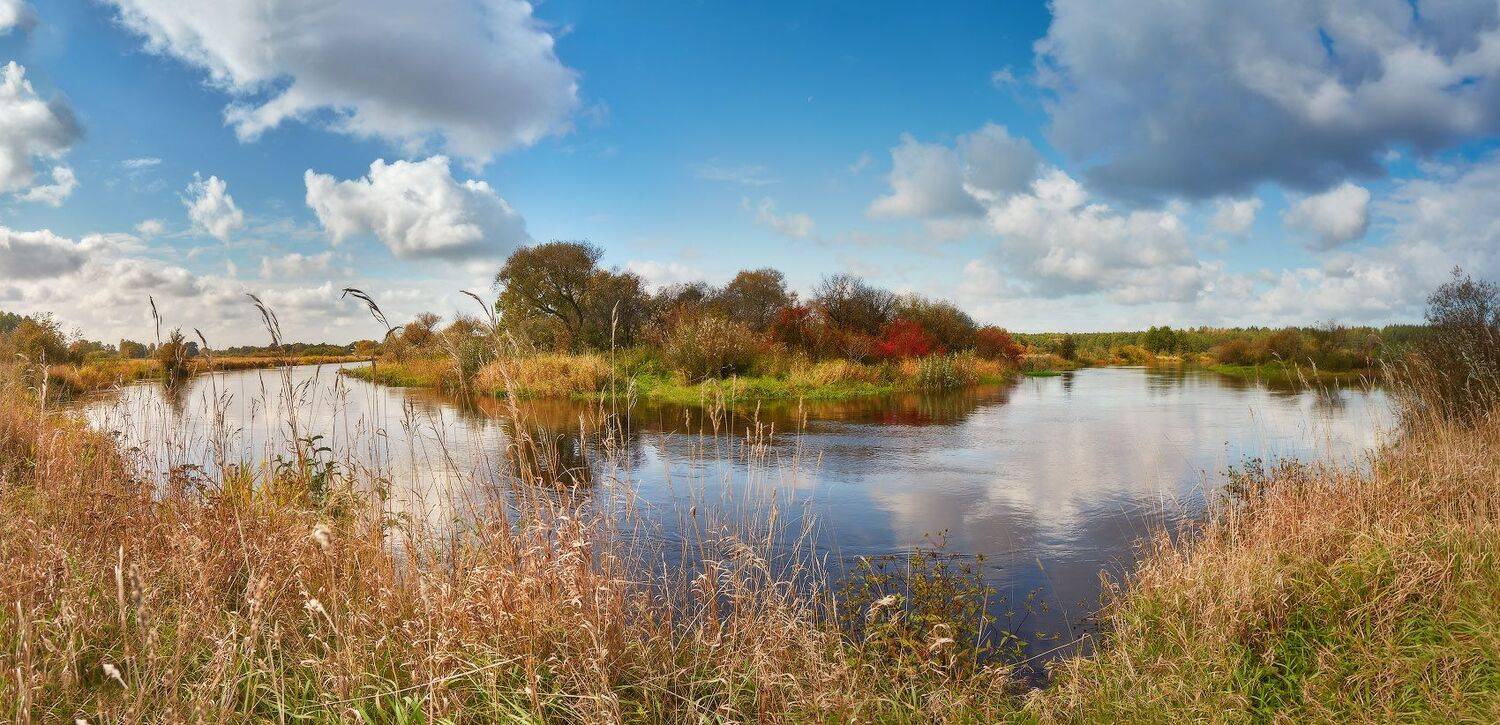 беларусь, день, луга, неман, осень, панорама, река, сентябрь, Вейзе Максим