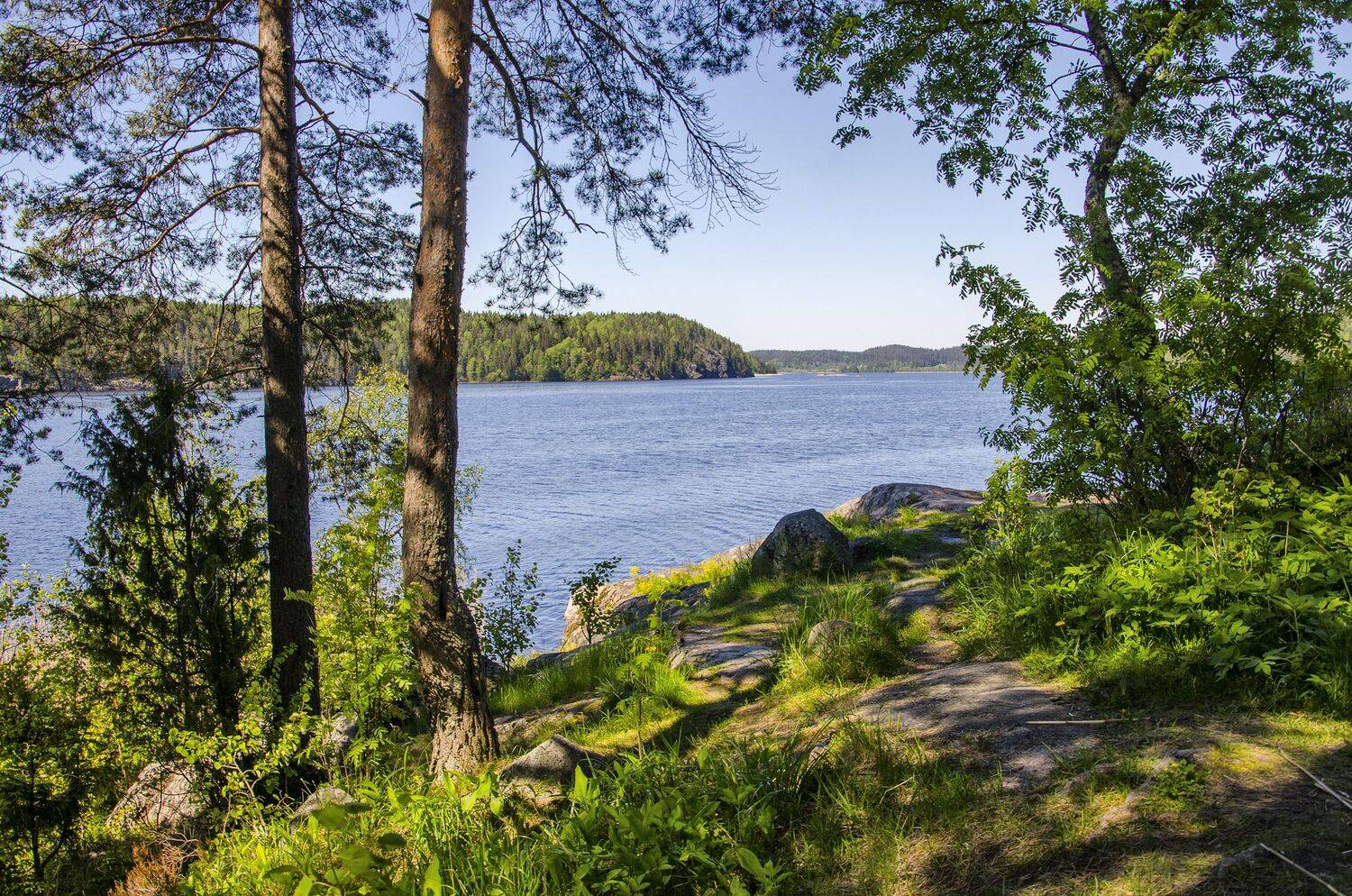 , Александр Березуцкий