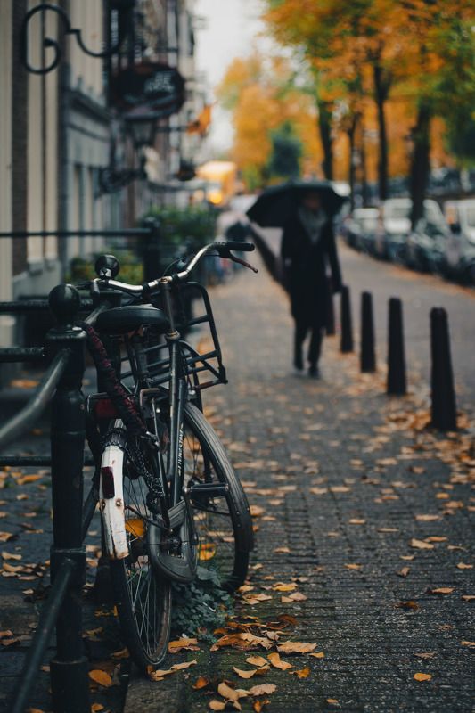 amsterdam canal cycling autumn netherlands street rain umbrella Rainy day in Amsterdam. фото превью