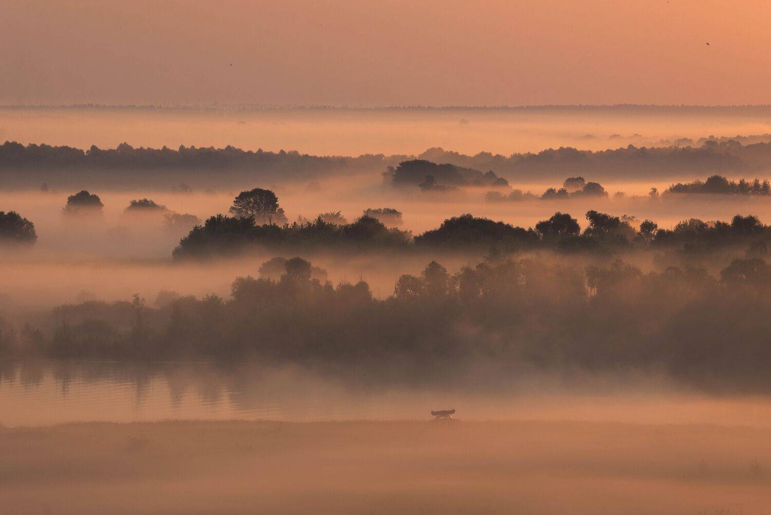 #рассвет #природа #рязань, Мария Чепрасова