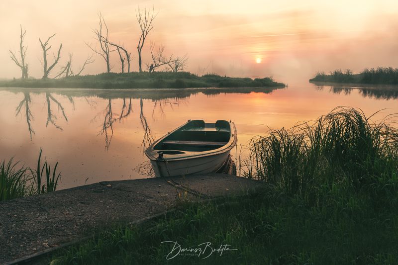 Morning fog фото превью