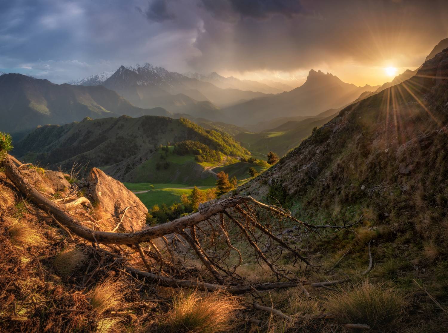 кавказ, Андрей Грачев