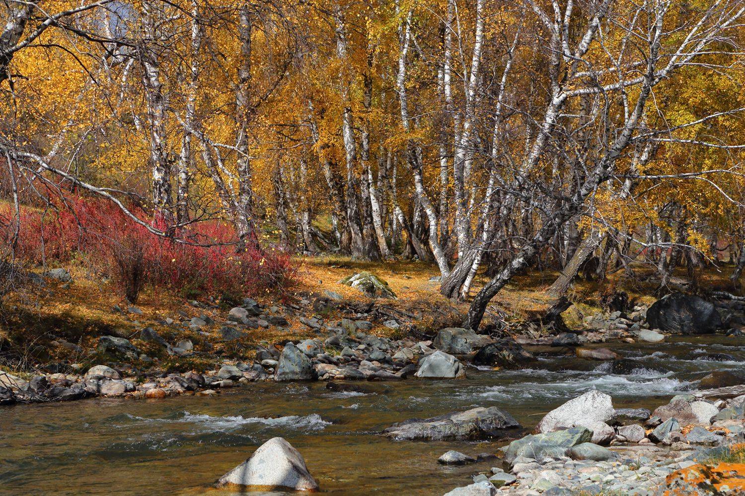 , Евгений Зинов