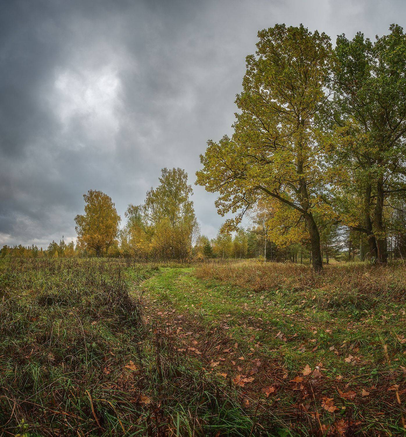 , Николай Андреев