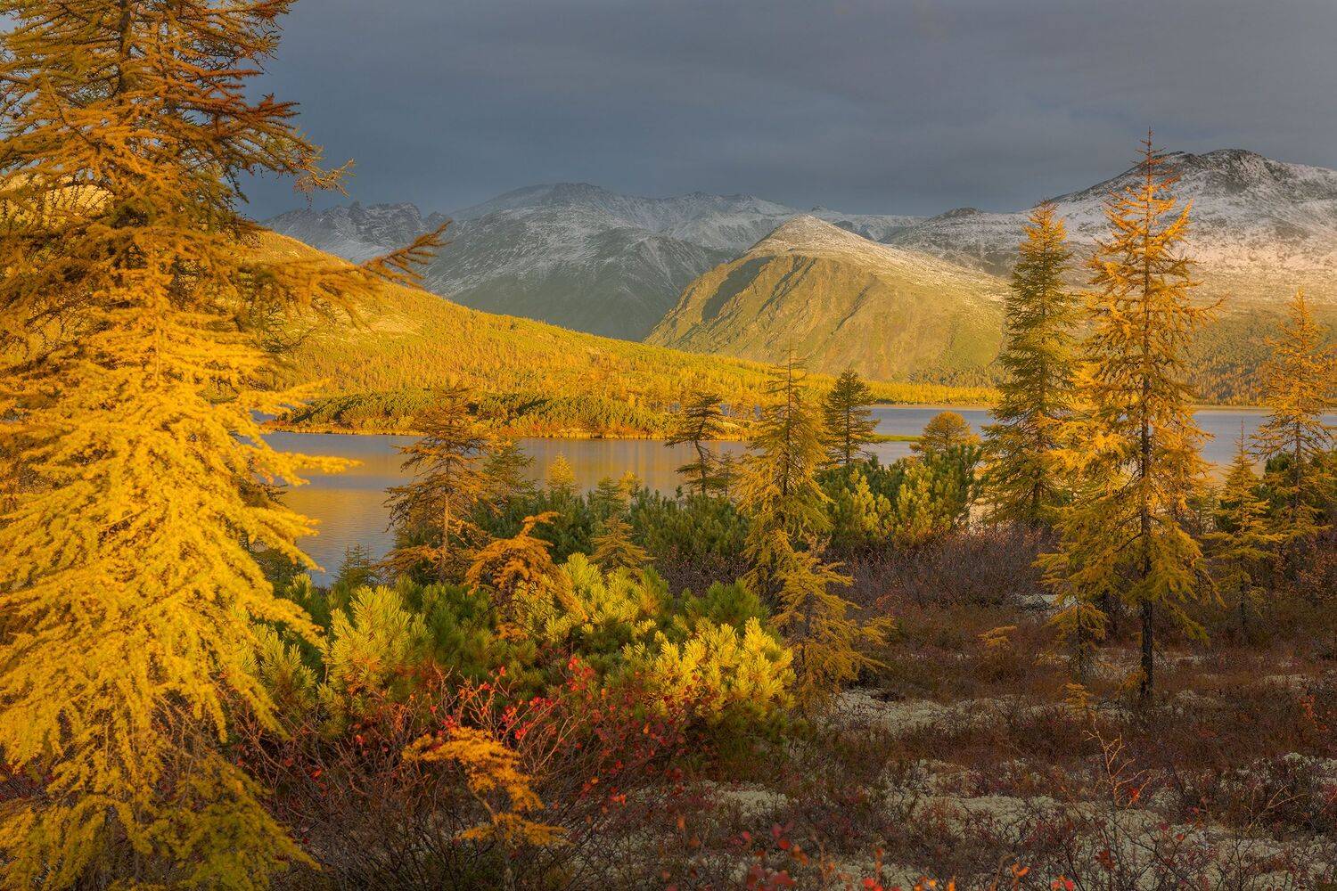 фототуры с владимиром рябковым, озеро джека лондона, #озероджекалондона #колыма #loves_russia #nikonrussia #landscape_russia #ru_landscape  #русскийсевер #landscapephotography #photoarena_nature #russiannature #большаястрана #russpasibo #topnature #lovely, Владимир Рябков